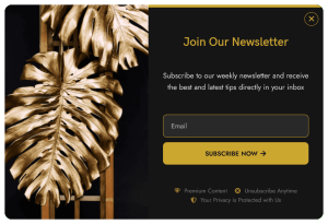 Newsletter Sign-up Form Pop-up to Grow Email List – 5
