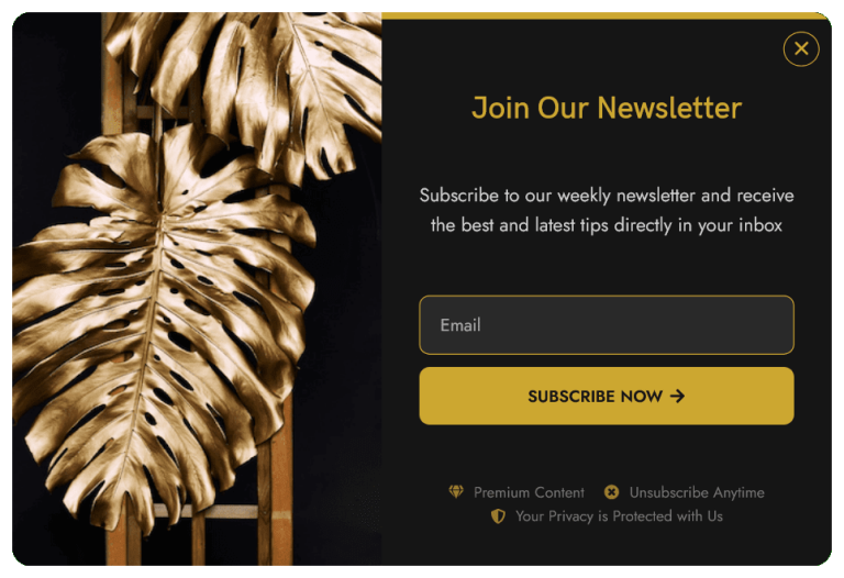 Newsletter Sign-up Form Pop-up to Grow Email List – 5