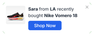 Recent Sales and Buyers Floating Side Box to Build Trust and Social Proof – 37