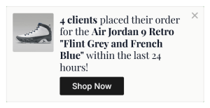 Recent Sales and Buyers Floating Side Box to Build Trust and Social Proof – 42