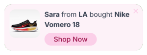 Recent Sales and Buyers Floating Side Box to Build Trust and Social Proof – 43