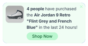 Recent Sales and Buyers Floating Side Box to Build Trust and Social Proof – 44