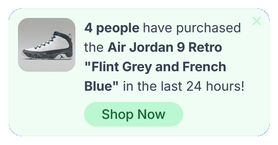 Recent Sales and Buyers Floating Side Box to Build Trust and Social Proof – 44