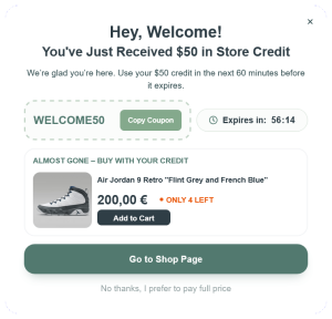 Welcome Coupon Code Pop-up to Increase Sales – 91