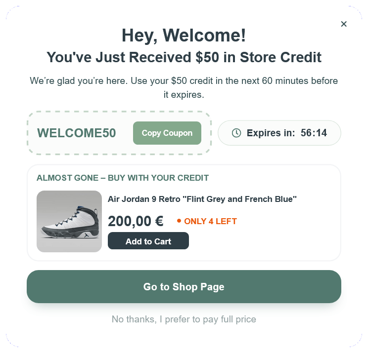Welcome Coupon Code Pop-up to Increase Sales – 91