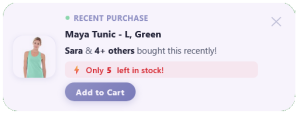 Recent Sale Notification + Stock Urgency – 95