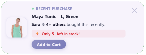 Recent Sale Notification + Stock Urgency – 95